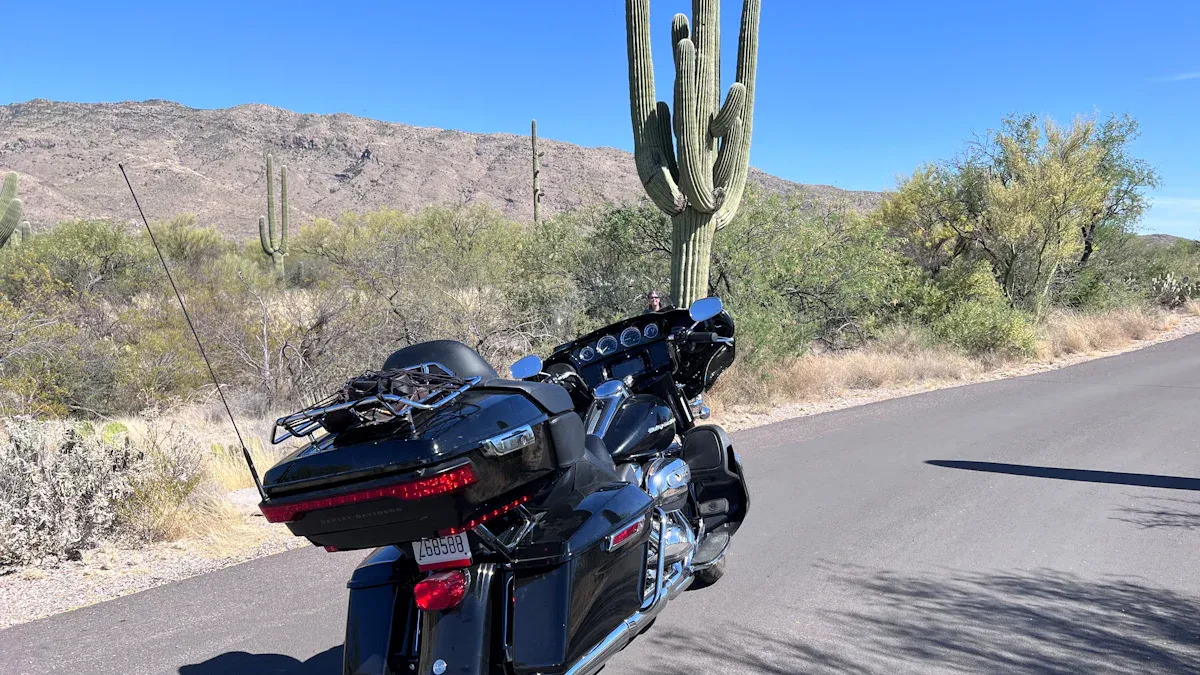 Passenger Backrest Pad