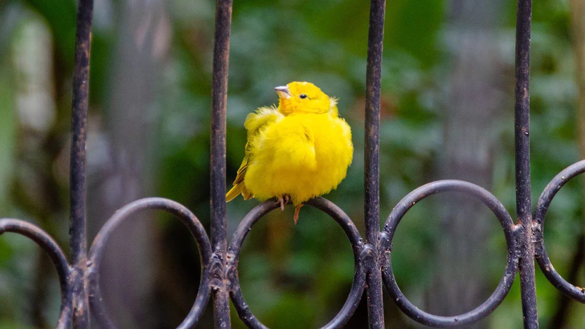 What Is a Canary Release Tool and How It Works