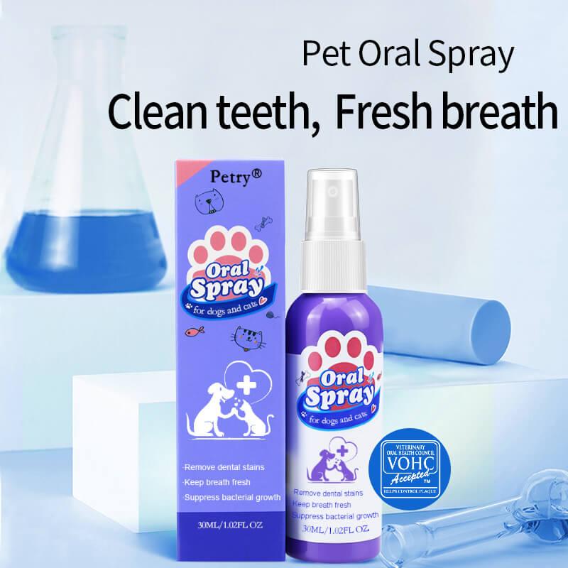 The Importance of Pet Dental Health for Long-Term Wellness