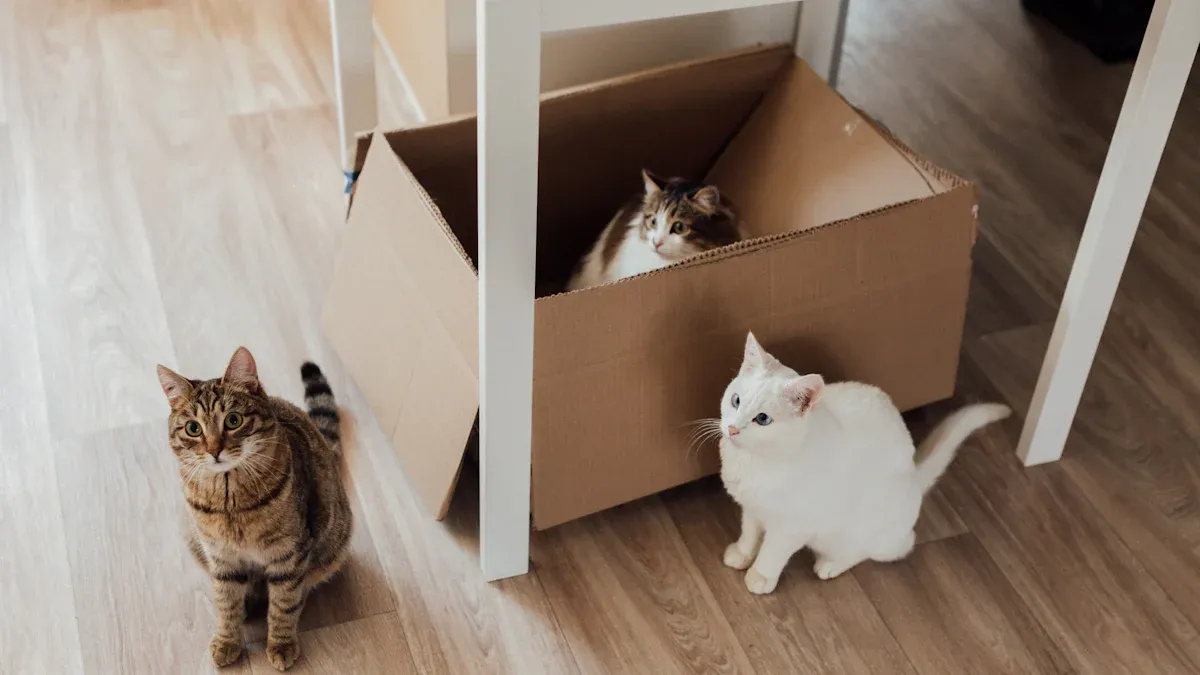 Top 10 Must-Have Items for Your Cat Starter Kit