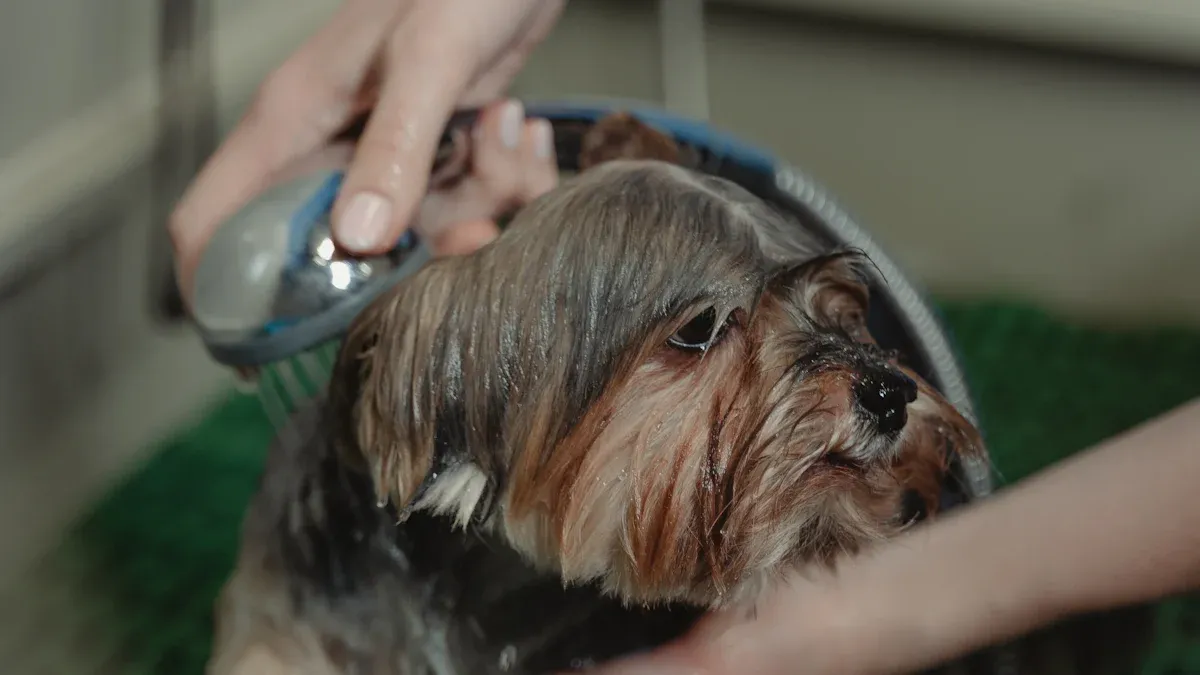 Pet Hygiene Products and Packaging: Industry Trends and Opportunities