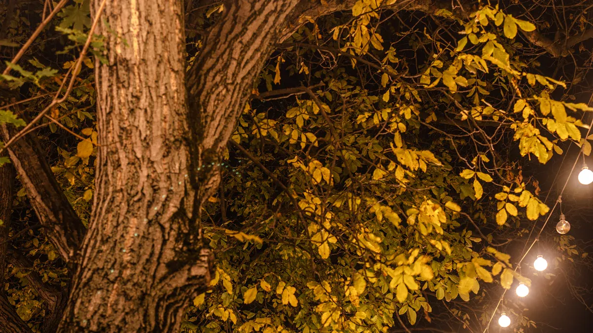 Top 10 Best Lanterns for Outdoor Spaces
