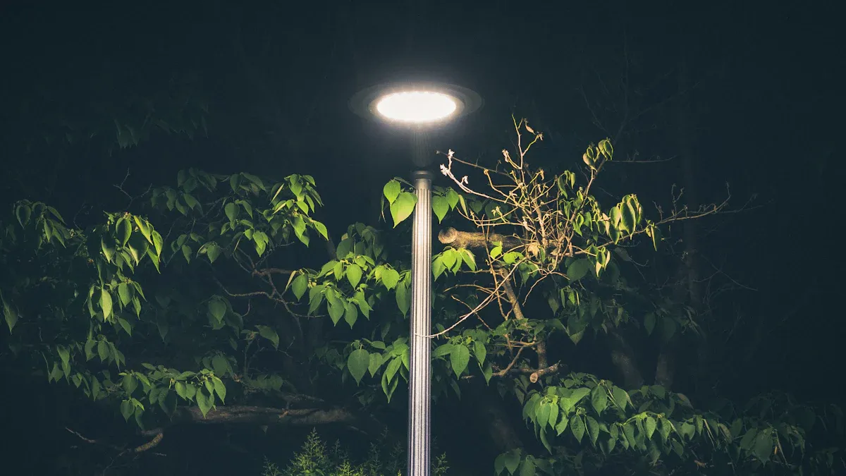 Outdoor Street Lights: Types, Benefits, and Installation Best Practices
