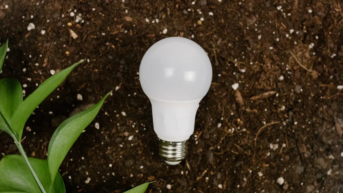 Ballast Lights: Types, Functions, and LED Compatibility