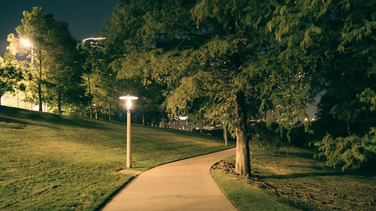 What Makes Dark Sky Outdoor Lighting Different?