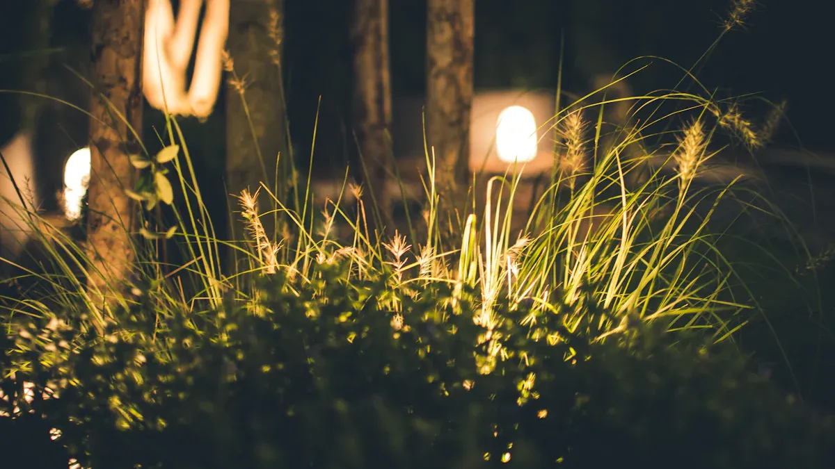 Solar Flood Lights for Outdoor Spaces