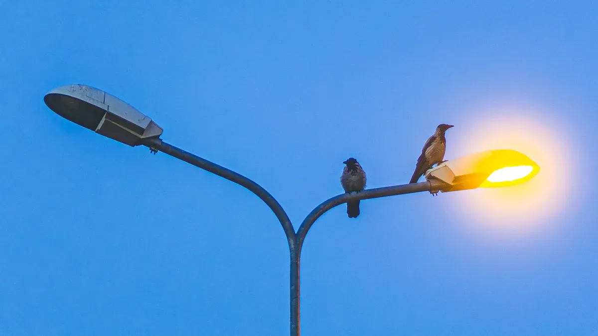 Streetlights and Standard Height Guidelines