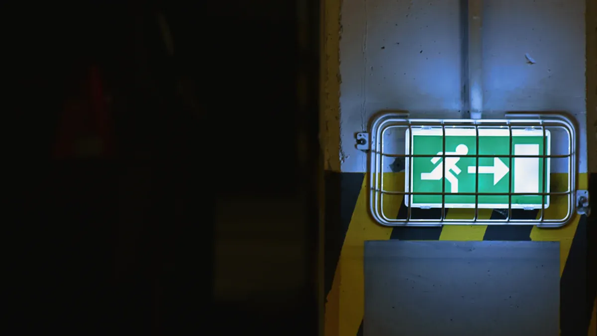 Lighting Exit Pathways: Safety Requirements and Optimal Placement for Emergency Evacuation
