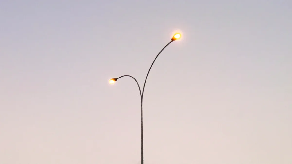 Community Impacts of Street Lighting