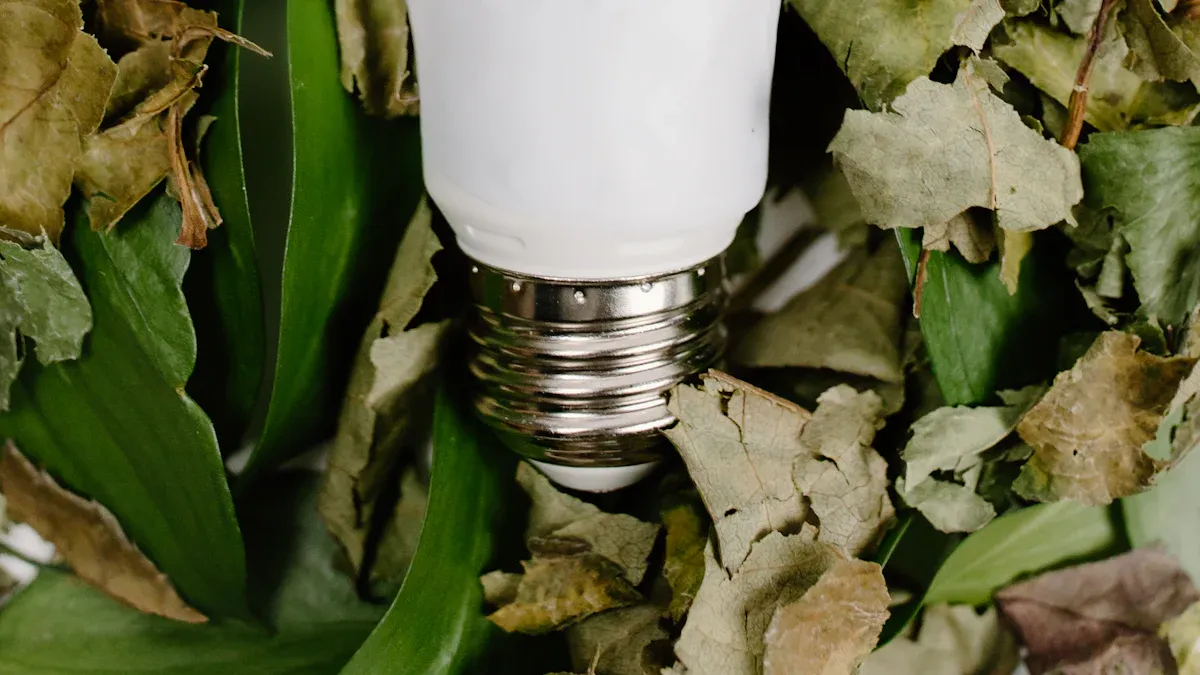 LED Lighting Programs and Government Incentives for Energy-Efficient Lighting in 2025