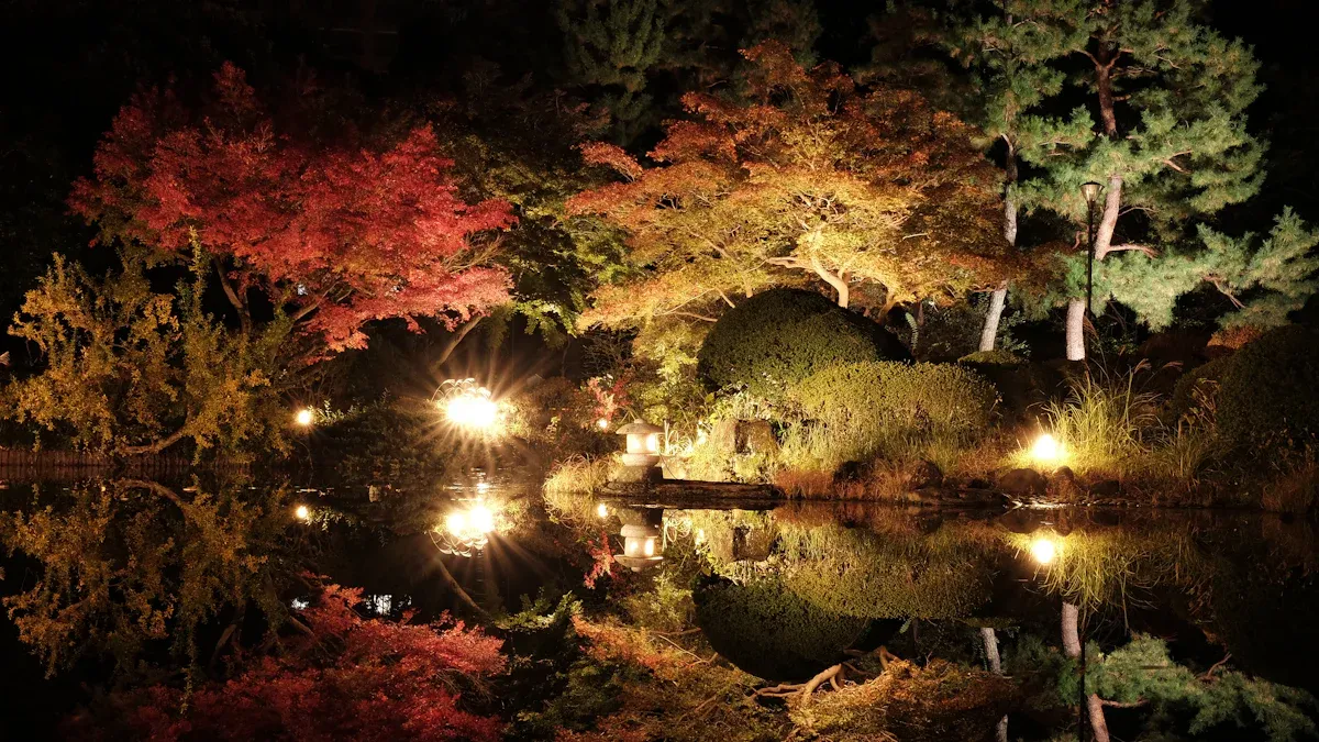 Landscape Highlights with Light