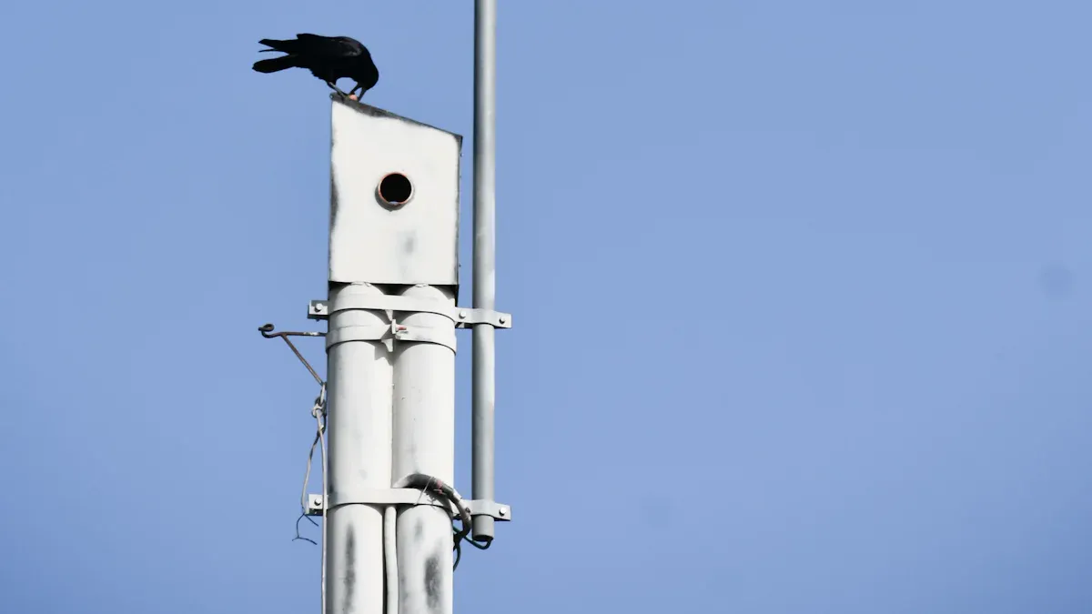 Features of smart poles