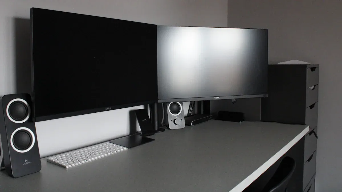 Which Mono LCD Display Models Stand Out in 2026