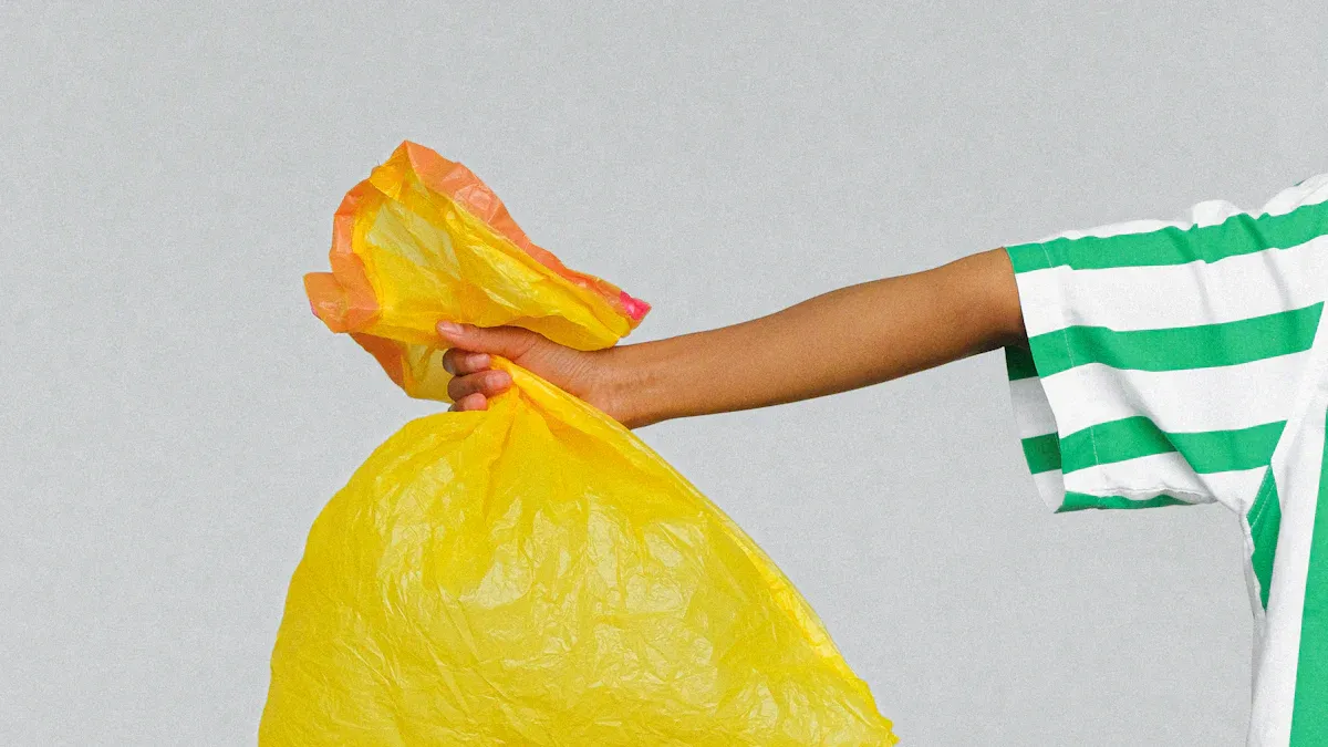 Plastic Ban and Reusable Revolution in Global Bag Policies