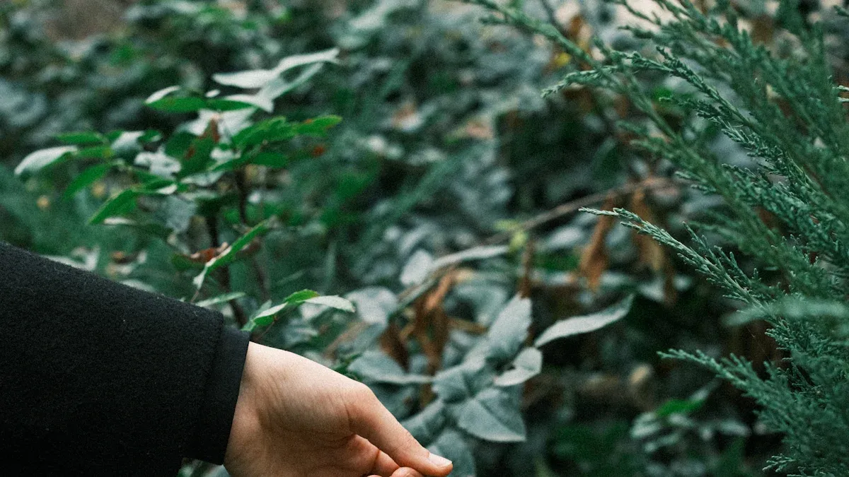 Paper Bags vs Non-Woven Bags: What’s More Sustainable?