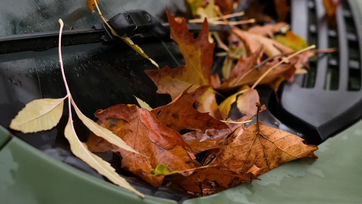 Compare Removal Methods & Prevention