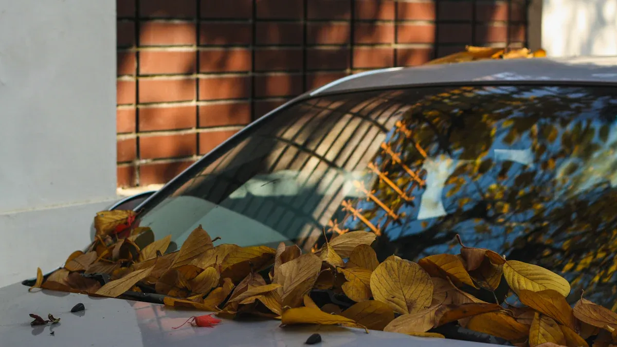 How to get sap off car