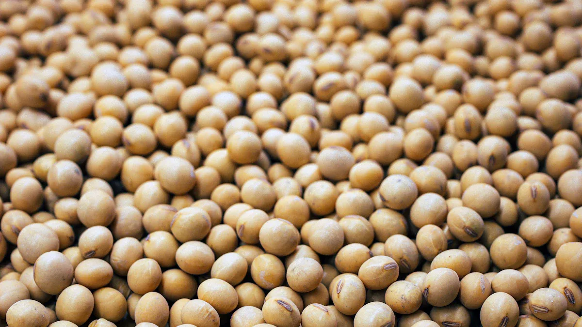 Soybean Oil Extraction Process