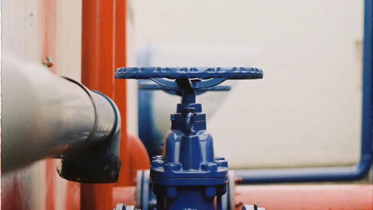 Stainless steel 316 gate valve basics