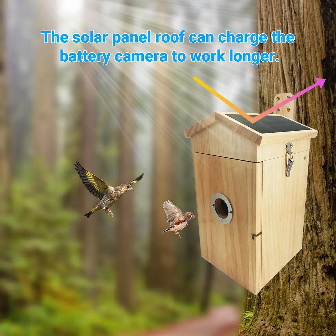 How Smart Birdhouses Address These Challenges