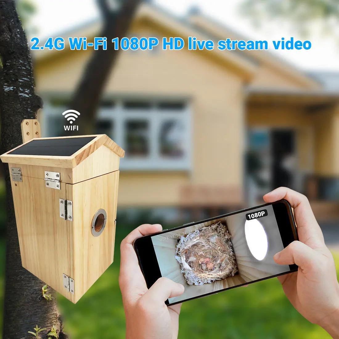 Features of a Smart Birdhouse