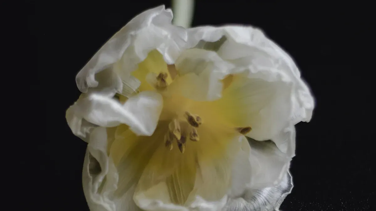 Delicadeza y apariencia