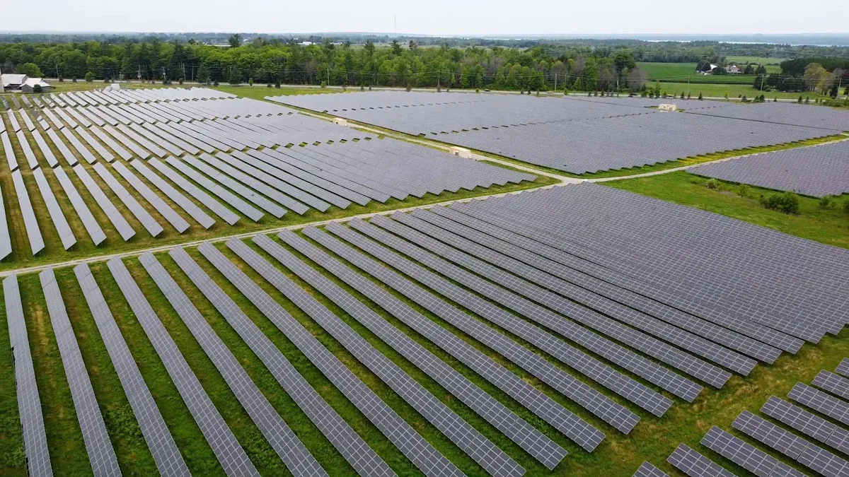 Trends for Solar Panels in Texas