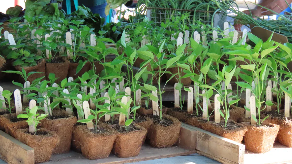 Buying Tips for Raised Garden Beds