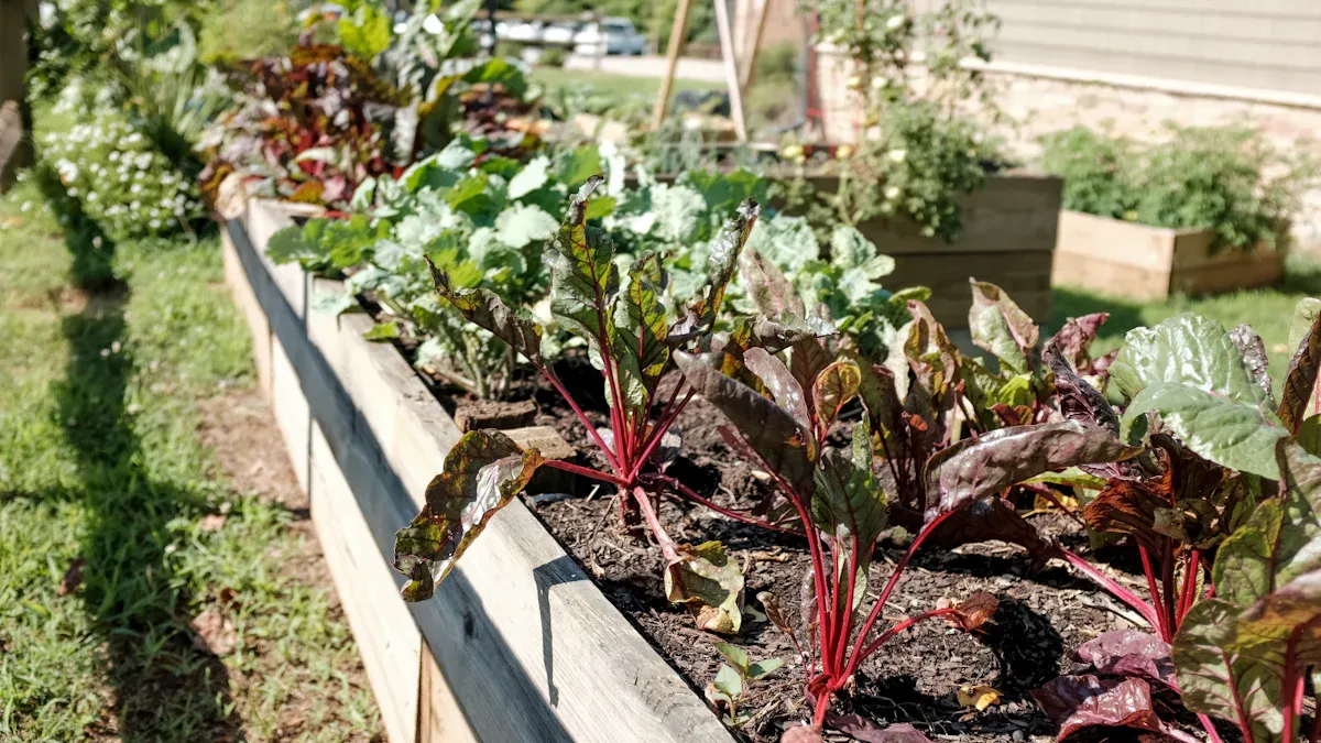 Metal Raised Garden Beds vs. Other Materials