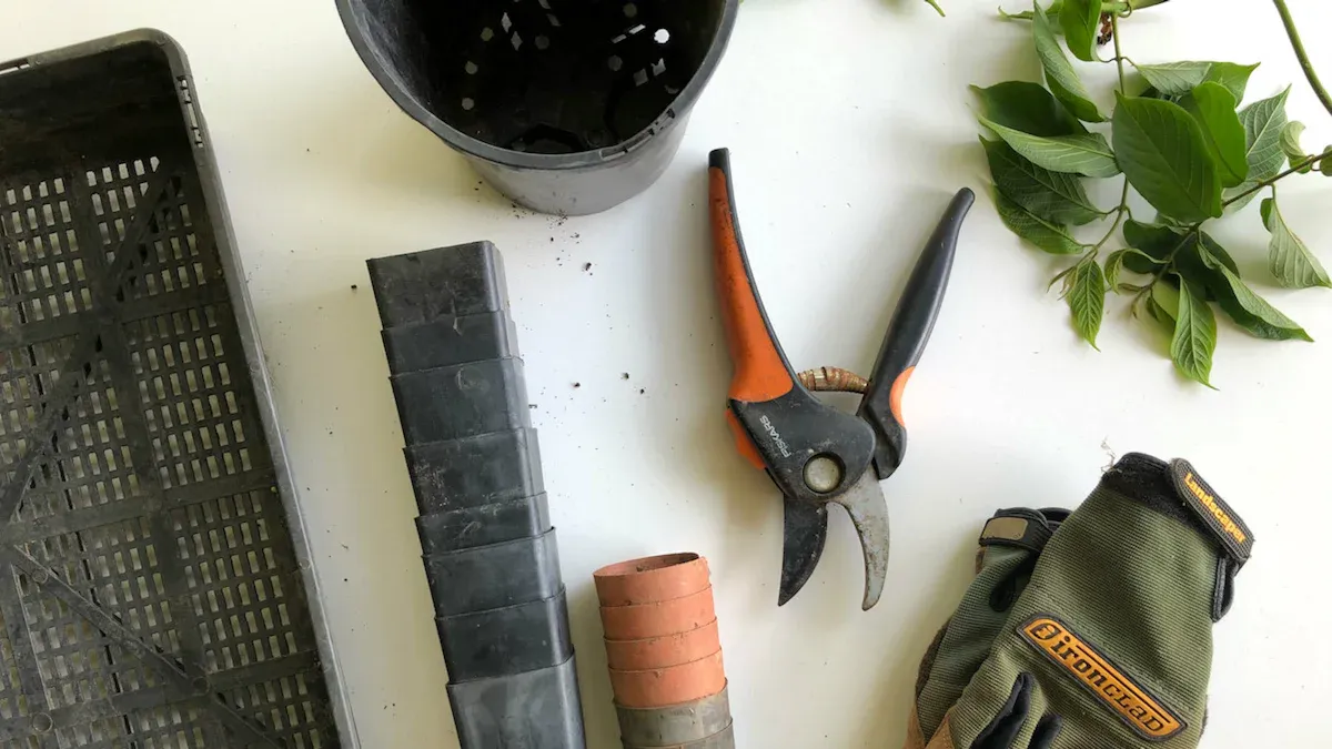 Top Gardening Tools for Seniors by Function