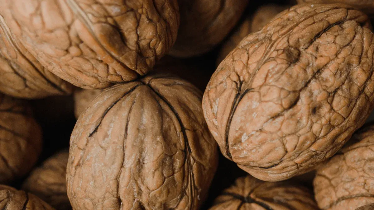 The Brain-Boosting Power of Essential Fatty Acids