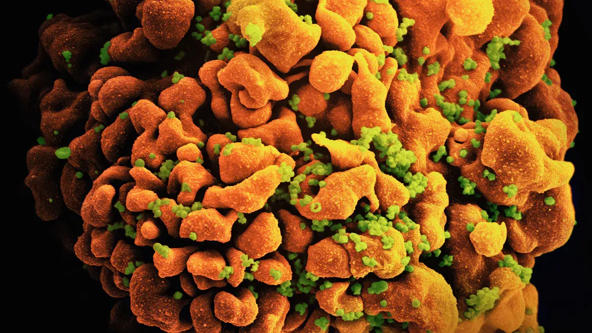 Ocean's Arsenal: Key Marine Immune Boosters and Immune Support Supplements