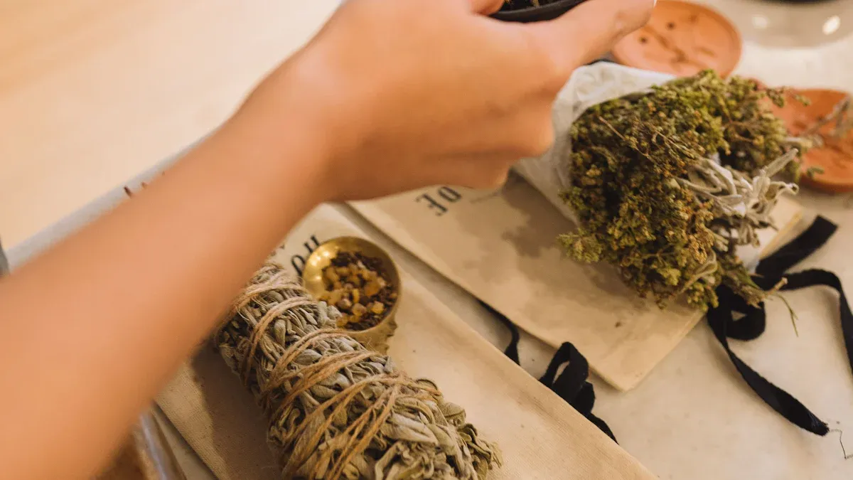 Exploring Herbal Remedies for Kidney Function