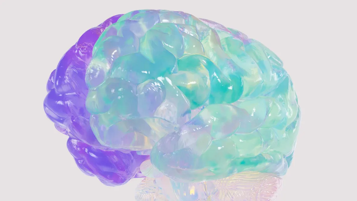 Understanding Your Cognitive Potential