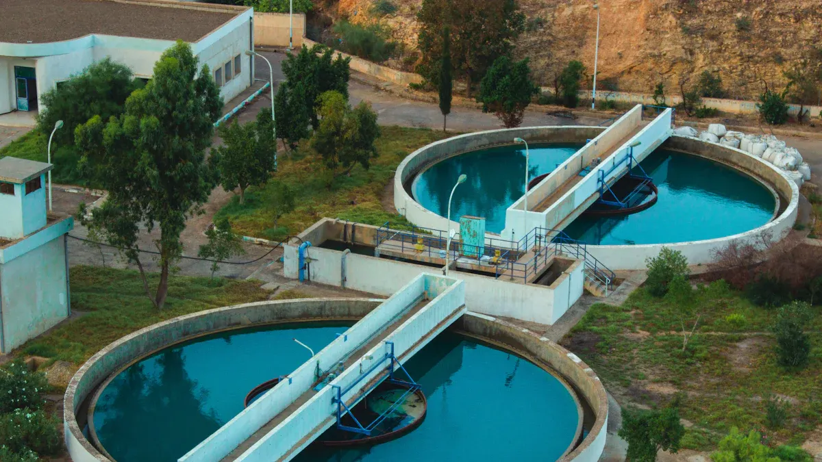 Sustainability and Energy Efficiency
