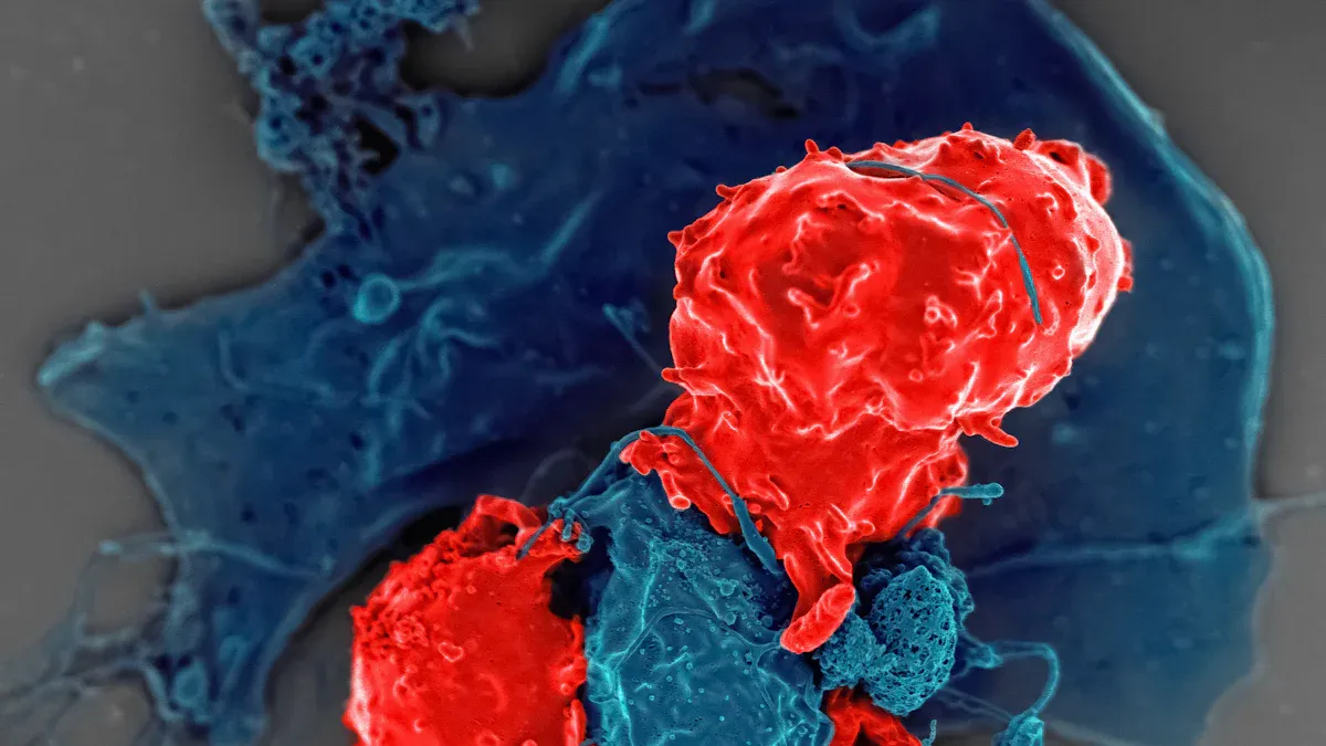 Immune System Basics