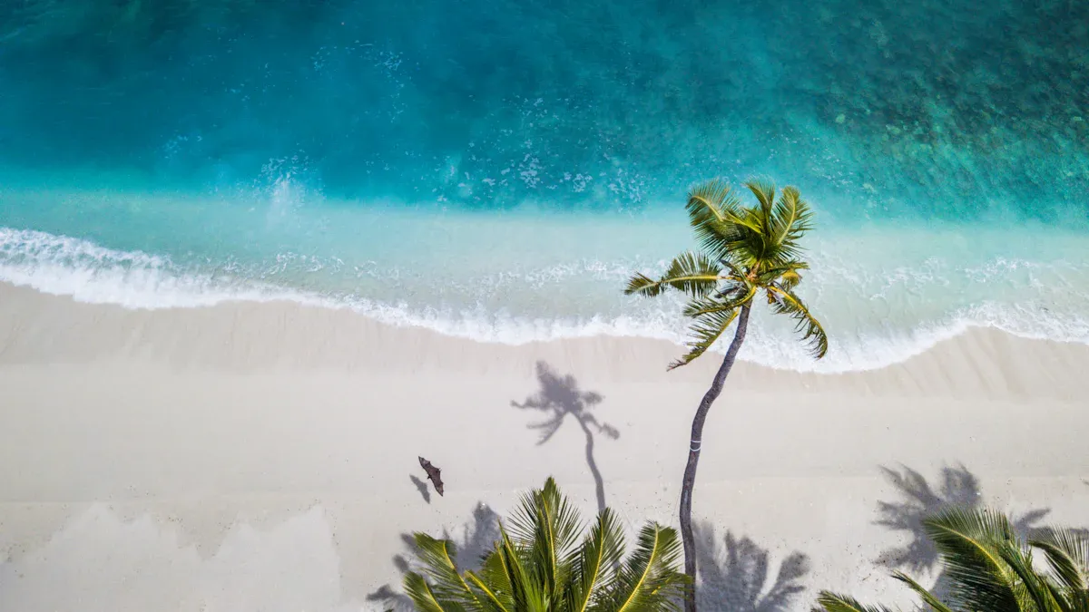 Beaches