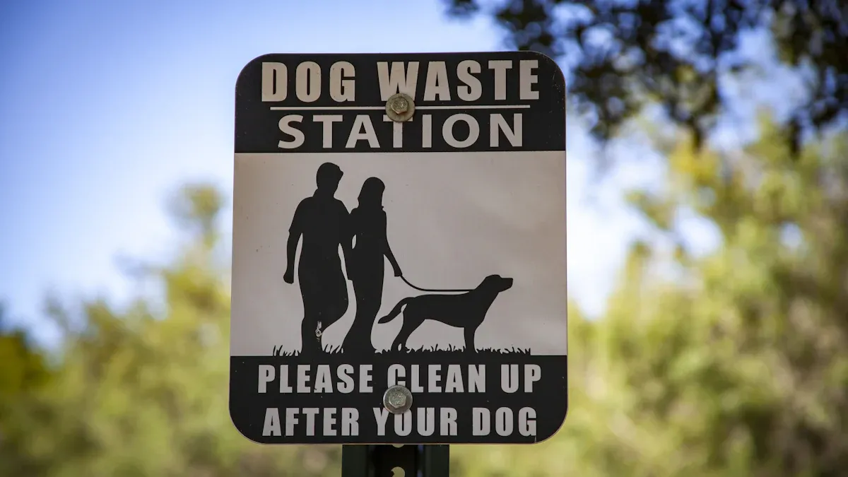 Dog Scooping Solutions for City Life