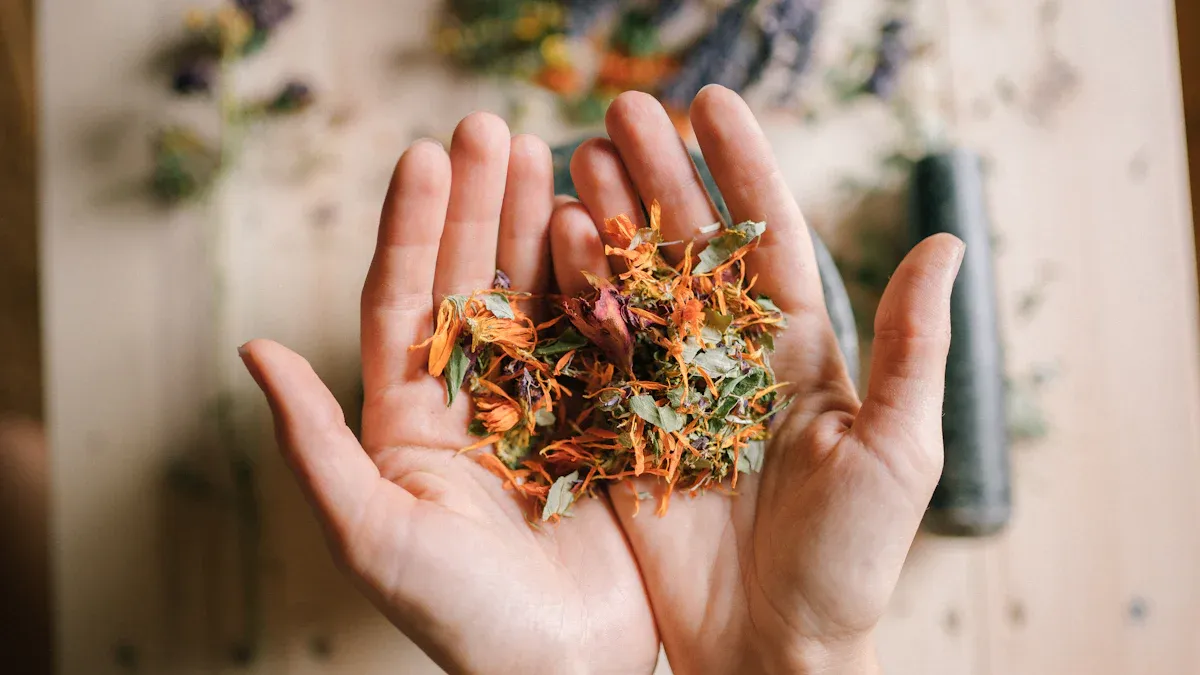 Top Herbs for Joint Flexibility Naturally