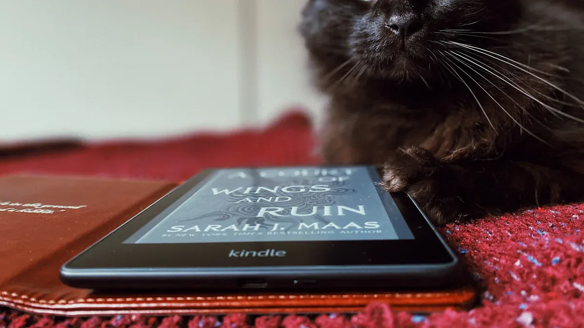 Cat Starter Kit Reviews