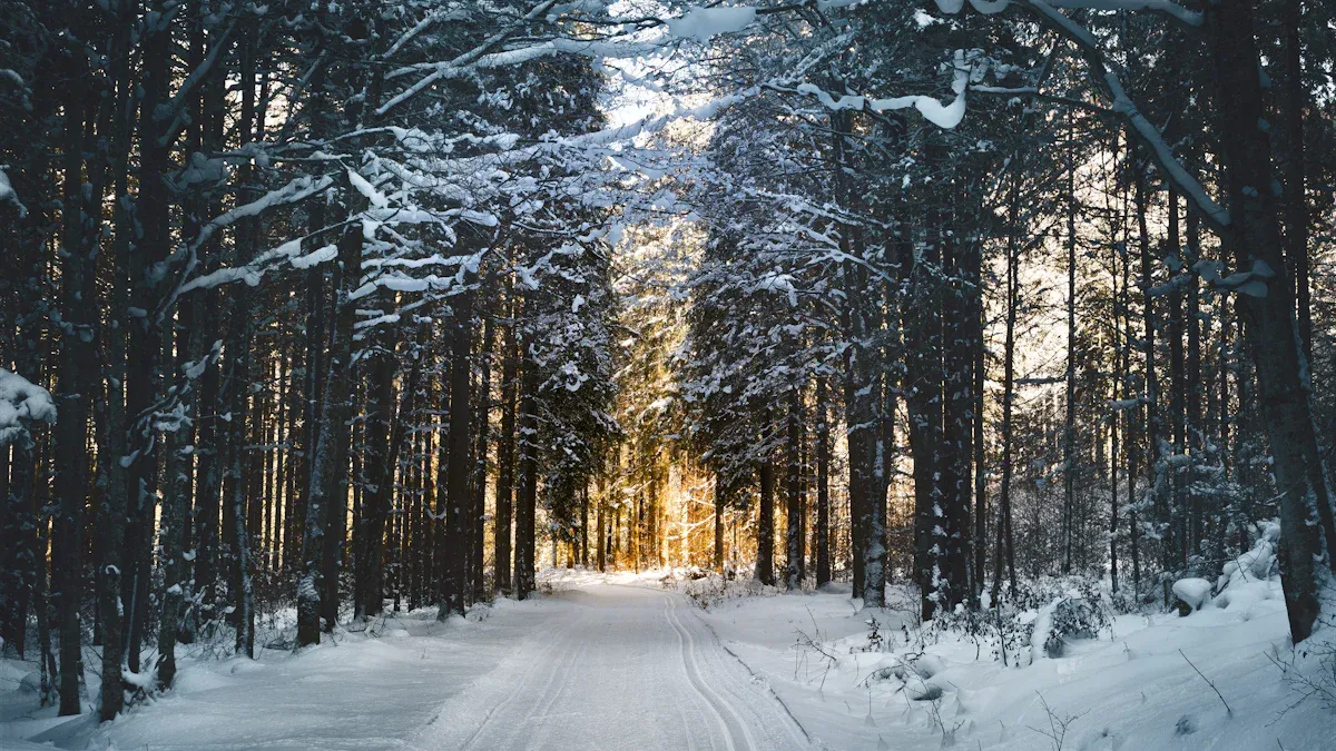 Why Winter Matters