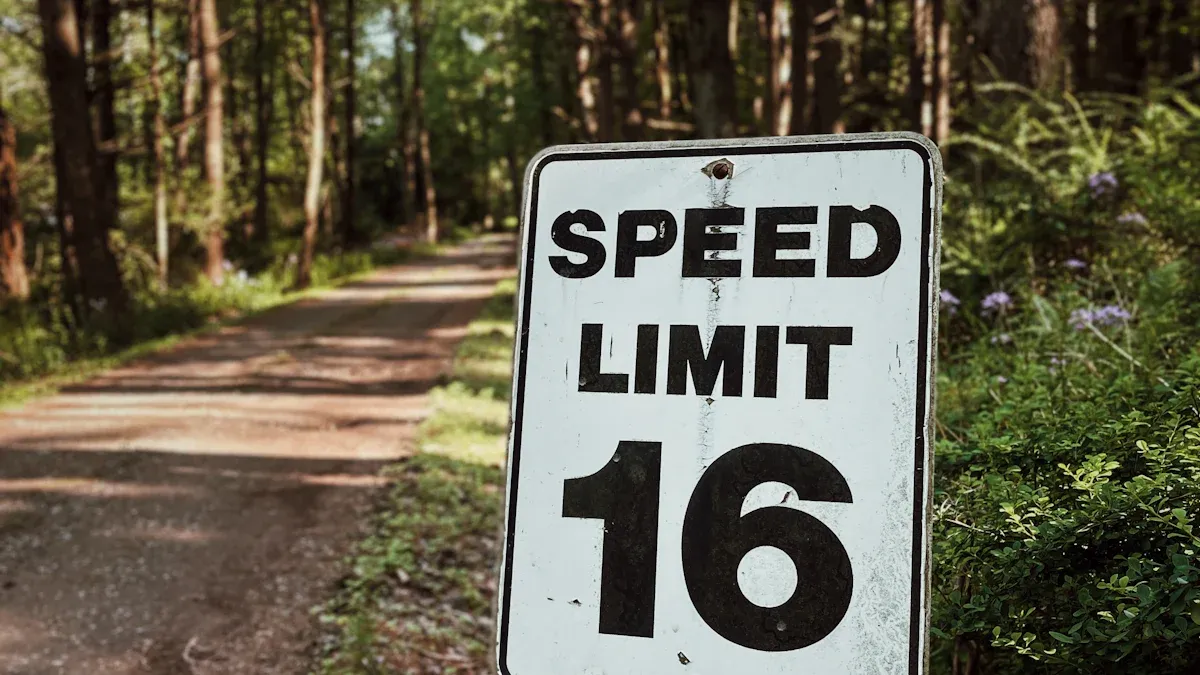 Why Speed Limiters Matter