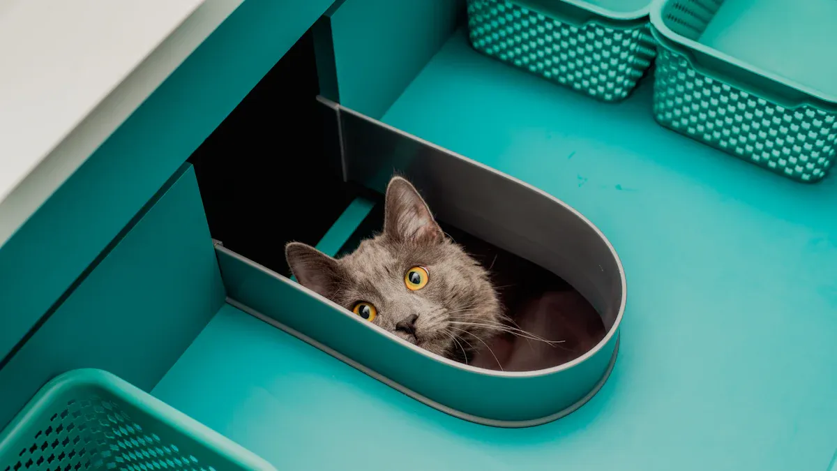 Budget Self-Cleaning Litter Boxes