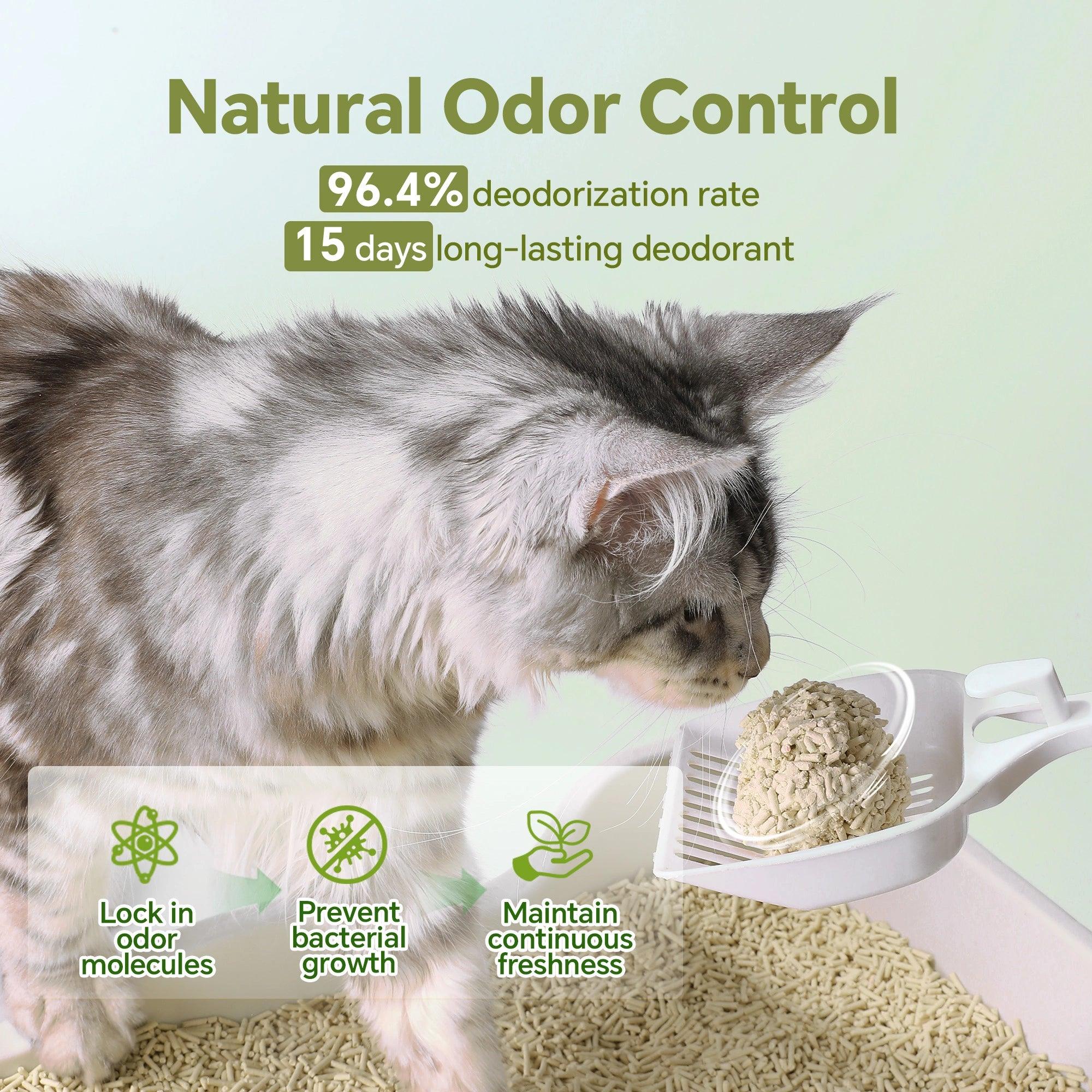 Main Benefits of Best Cat Litter UAE