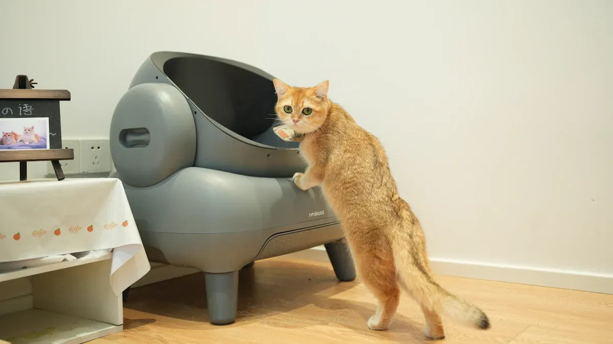 Choosing a Cat Litter Box with Scoop