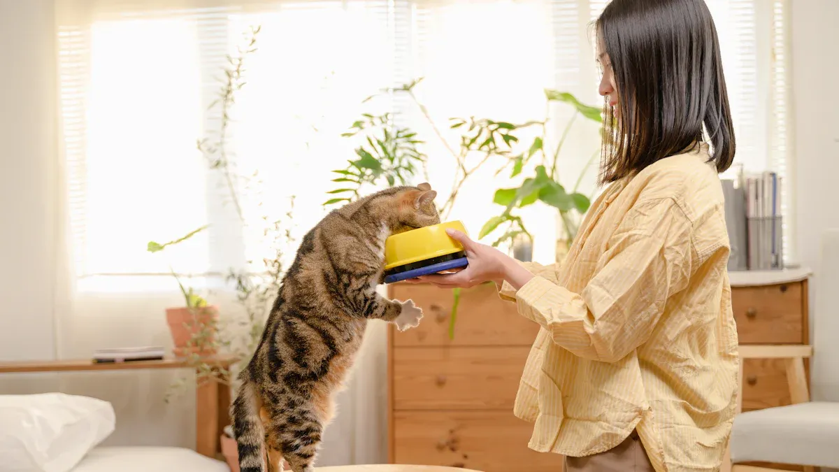 Beginner Cat Kit Item Breakdown