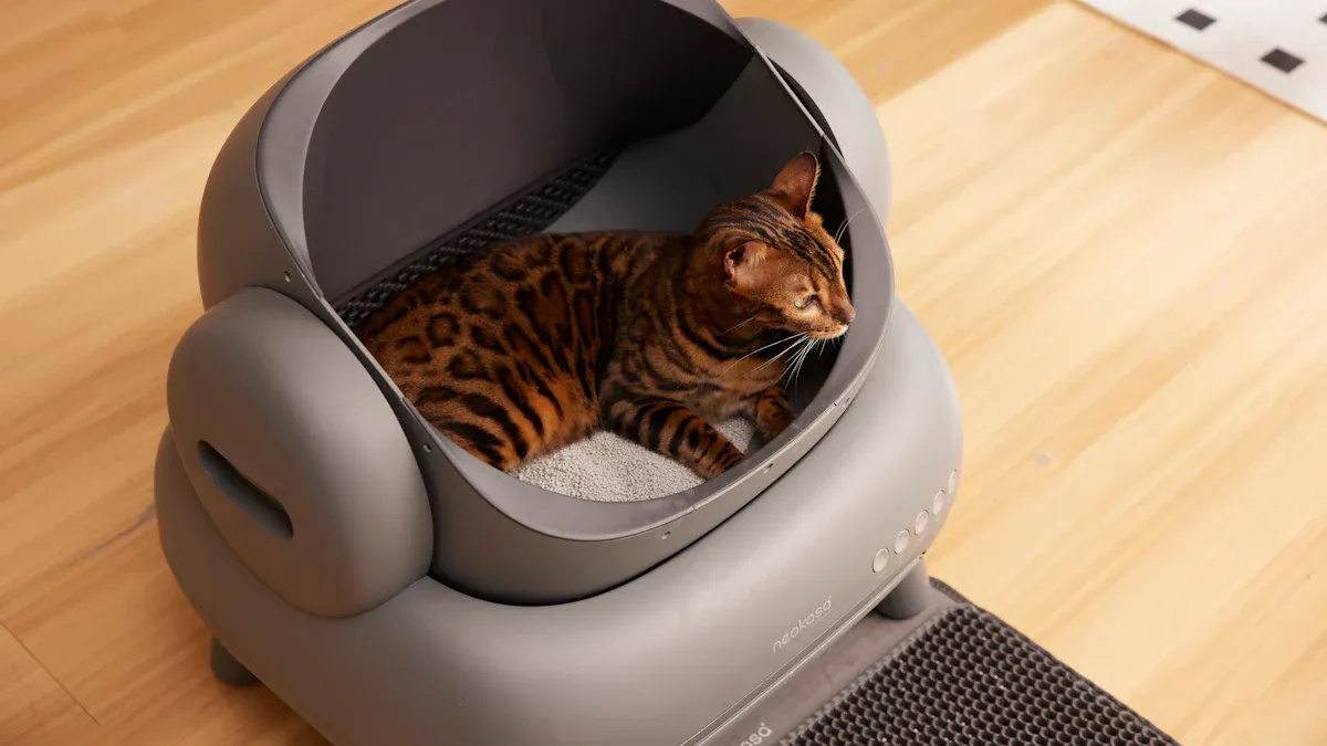 What’s Inside the Ultimate Cat Starter Kit for First-Time Owners
