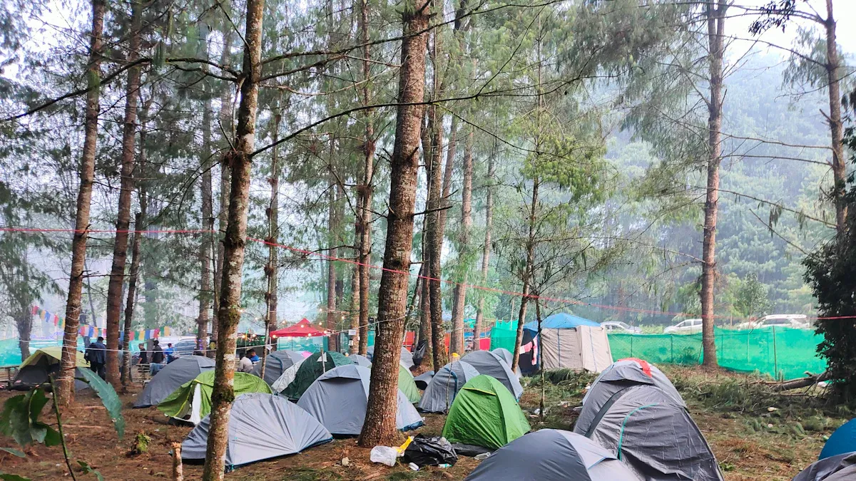 Ulasan & Testimoni Pelanggan Sewa Kanopi