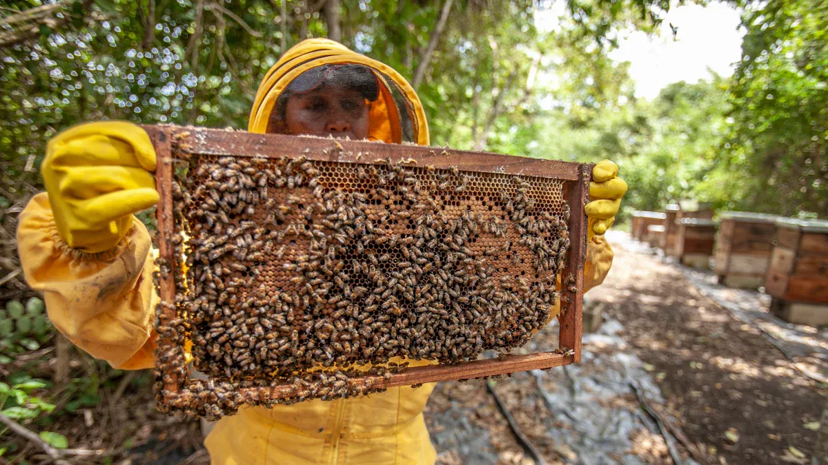 The Role of Black Seed and Honey in Men’s Hormonal Balance