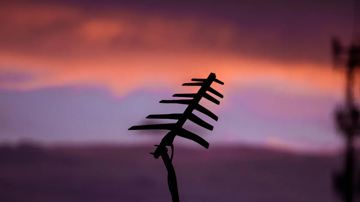 Prevent Lightning Strikes: Main Devices